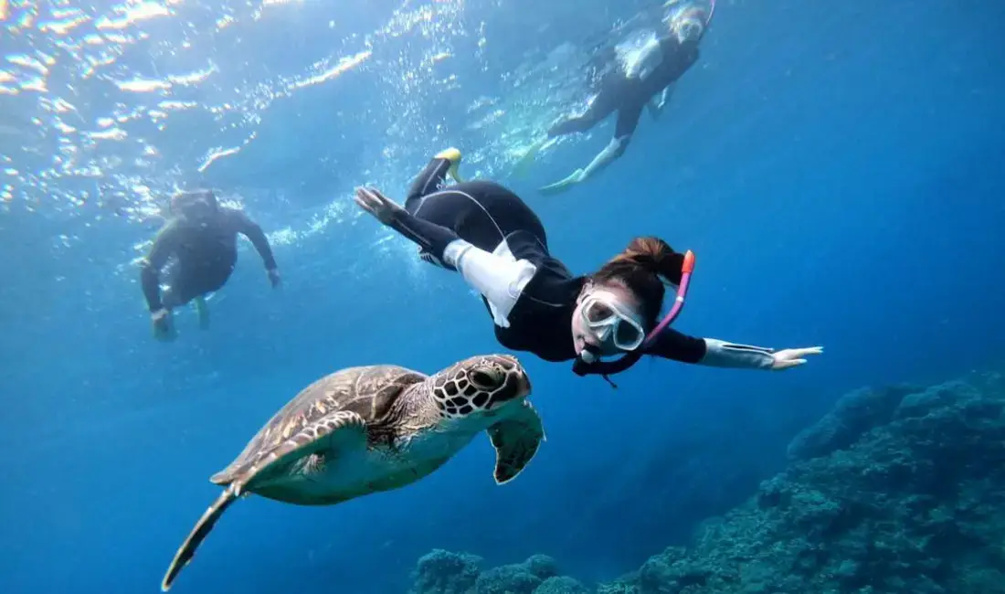 paket hemat-wisatapulautidung.com